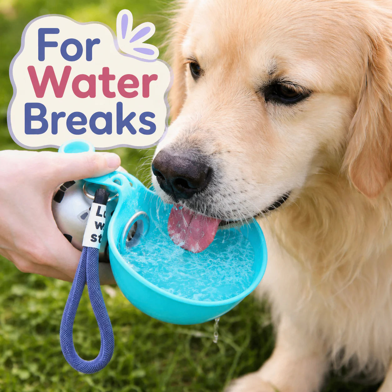 Divelic™ 2-in-1 Portable Dog & Cat Water Bottle