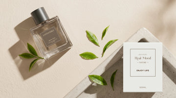 Plume Automatic Scent Diffuser | Home Fragrance Diffuser