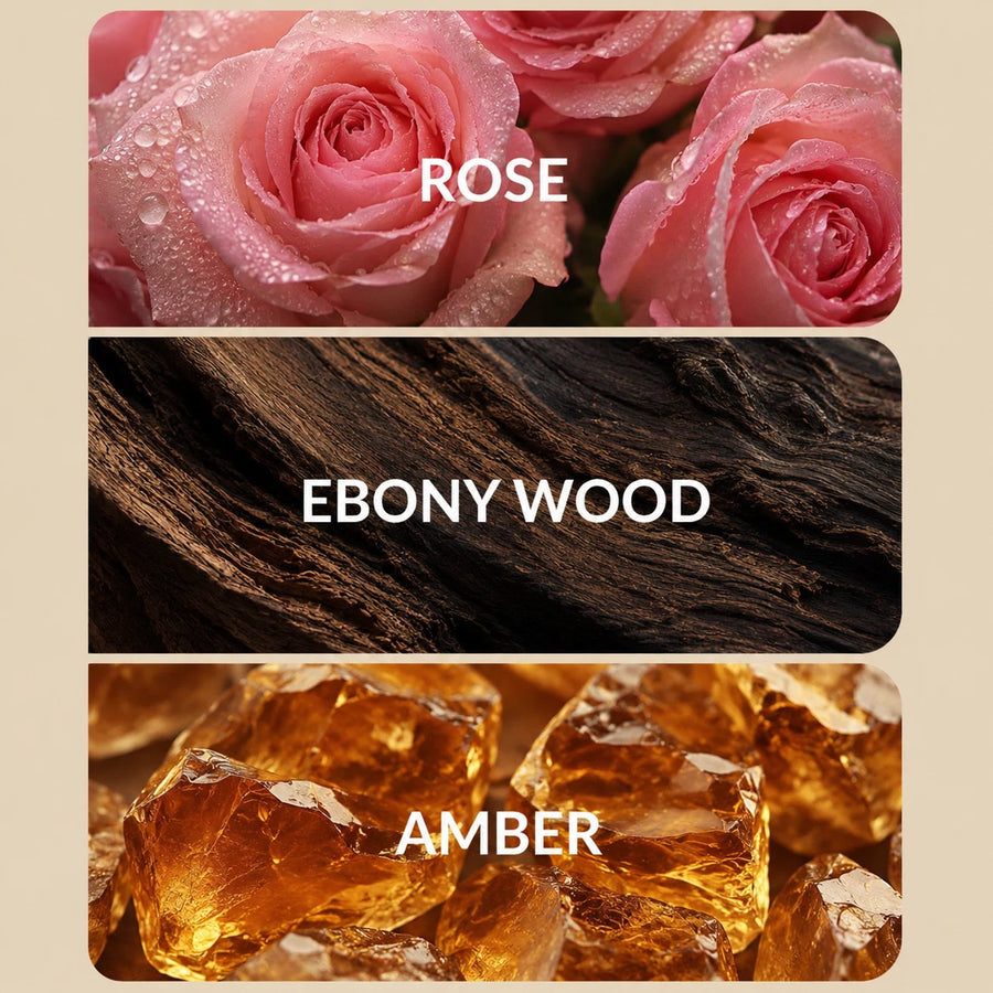 Plume Automatic Scent Diffuser | Home Fragrance Diffuser