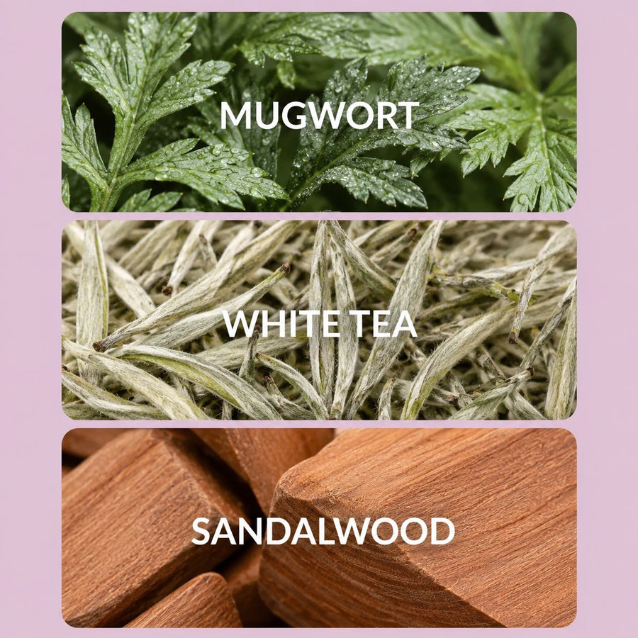 Plume Automatic Scent Diffuser | Home Fragrance Diffuser