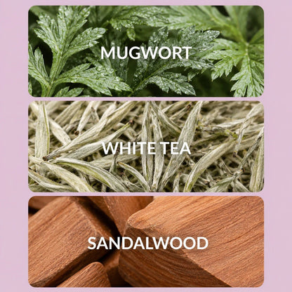 Plume Automatic Scent Diffuser | Home Fragrance Diffuser