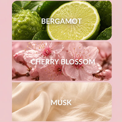 Plume Automatic Scent Diffuser | Home Fragrance Diffuser