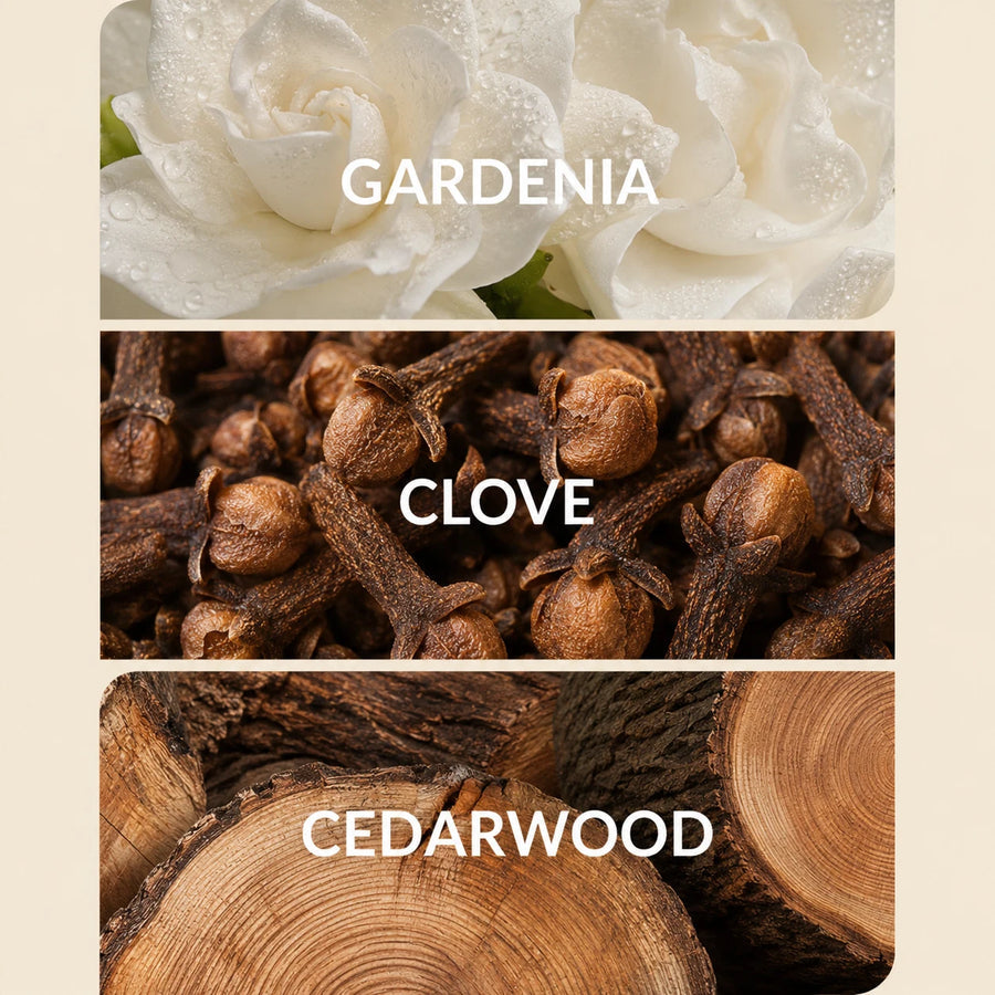 Plume Automatic Scent Diffuser | Home Fragrance Diffuser