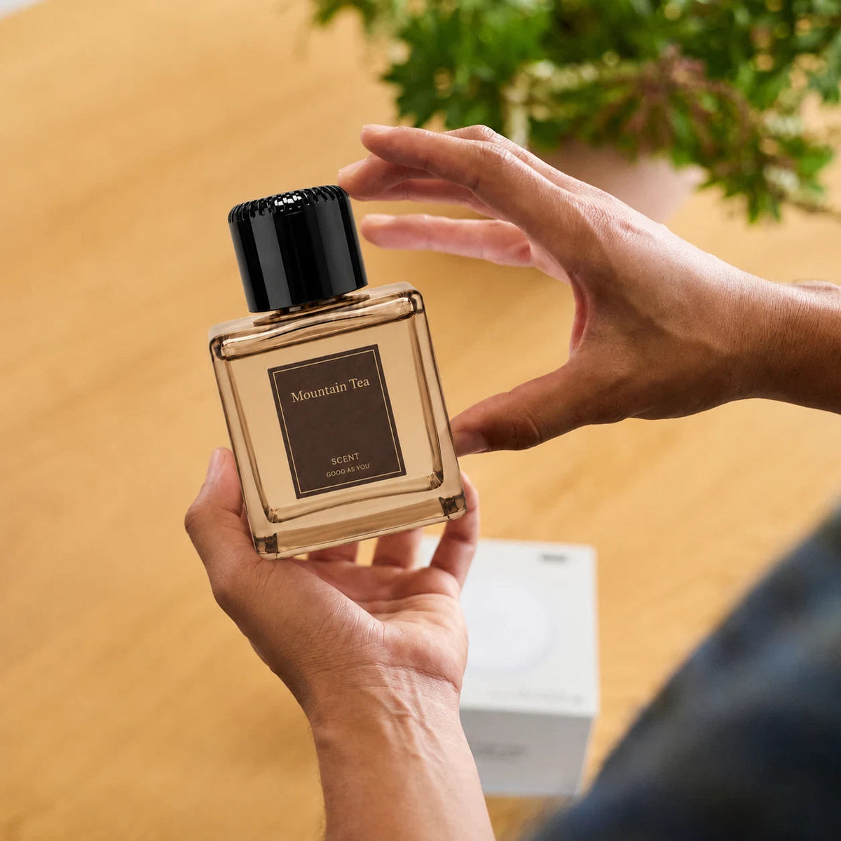 Plume Automatic Scent Diffuser | Home Fragrance Diffuser