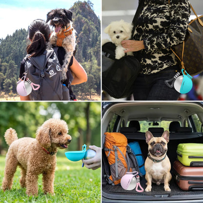 Divelic™ 2-in-1 Portable Dog & Cat Water Bottle